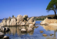 PG游戏官网登录入口-山西队完胜步行者，欧文统治全场